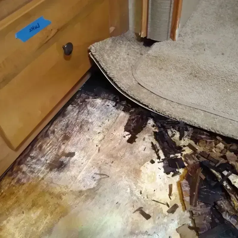 Wood Floor Water Damage in Daphne, AL